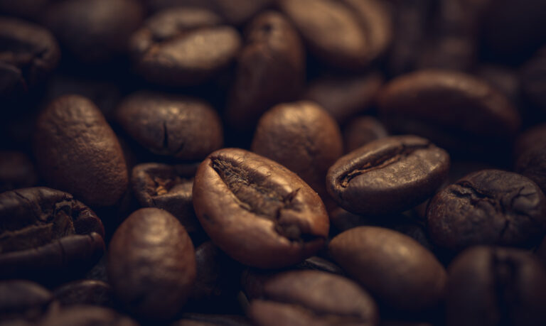 A World of Flavor: The Different Types of Coffee Beans Explained