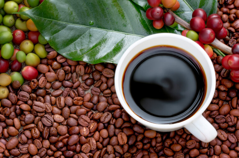 The Coffee Journey:  From Farm to Cup
