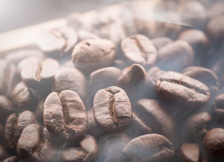 Mastering the Brew: Navigating Coffee Roast Levels