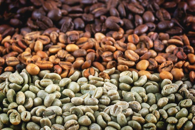 Unraveling the World of Coffee: Varietals and Blends Explained