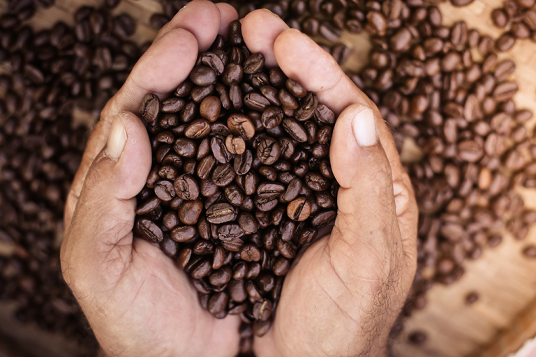 The Coffee Roasting Journey: From Bean to Brew